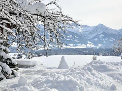 Alphirt Ferienwohnungen Fischen im Allgaeu Екстер'єр фото